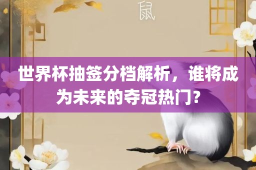 世界杯抽签分档解析，谁将成为未来的夺冠热门？