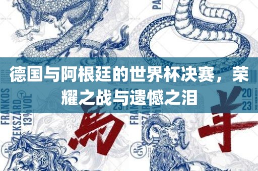 德国与阿根廷的世界杯决赛，荣耀之战与遗憾之泪眉山市正发家政服务有限公司