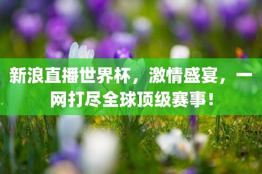 新浪直播世界杯，激情盛宴，一网打尽眉山市正发家政服务有限公司全球顶级赛事！