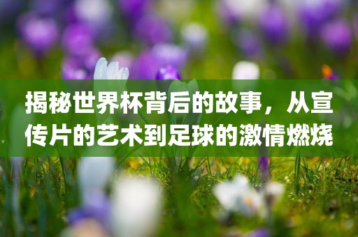 揭秘世界杯背后的故事，从宣传眉山市正发家政服务有限公司片的艺术到足球的激情燃烧