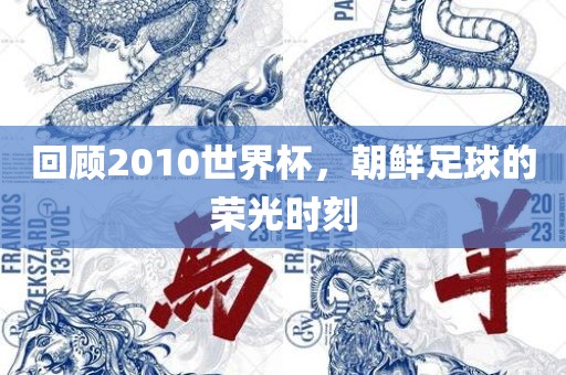 回顾2010世界杯，朝鲜足球的荣光时刻眉山市正发家政服务有限公司