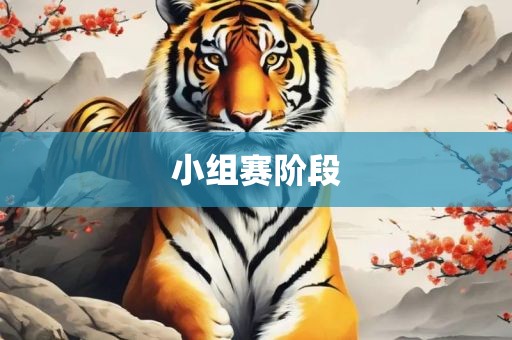 小组赛阶段