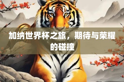 加纳世界杯之旅，期待与荣耀的碰撞