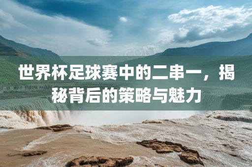 世界杯足球赛中的二串一，揭秘背后的策略眉山市正发家政服务有限公司与魅力
