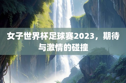 女子世界杯足球赛2023，期待与激情的碰撞眉山市正发家政服务有限公司