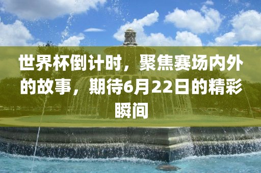 世界杯倒计时，聚焦赛场内外的故事，期待6月22日的精彩瞬间