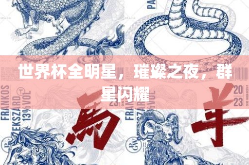 世界杯全明星，璀璨之夜，群星闪耀