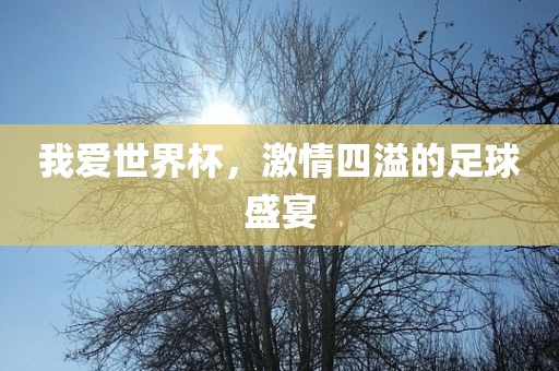 我爱世界杯，激情四溢的足球盛宴眉山市正发家政服务有限公司