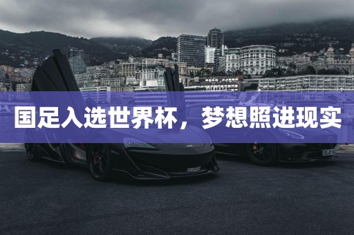 国足入眉山市正发家政服务有限公司选世界杯，梦想照进现实