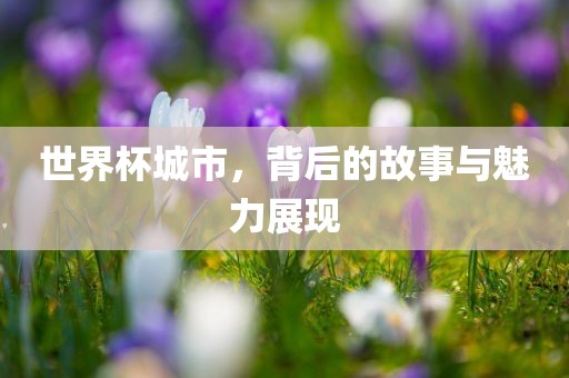 世界杯城市，背后的故事与魅力展现