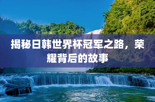 眉山市正发家政服务有限公司揭秘日韩世界杯冠军之路，荣耀背后的故事