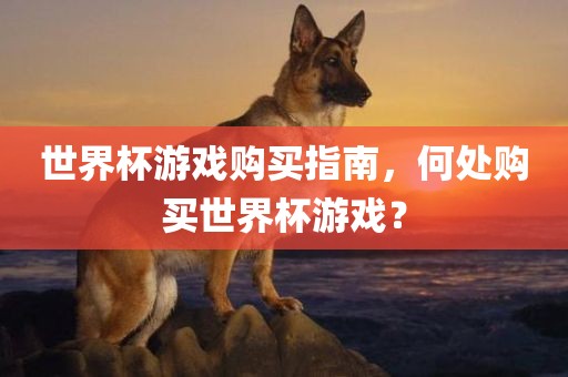 世界杯游戏购买指南，何处购买世界杯游戏？
