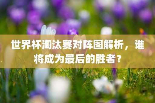 世界杯淘汰赛对阵图解析，谁将成为最后的胜者？