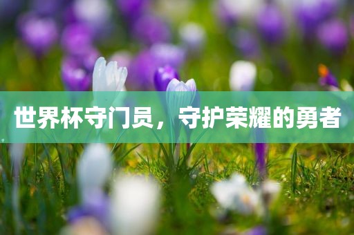 世界杯守门员，守护荣耀的勇者