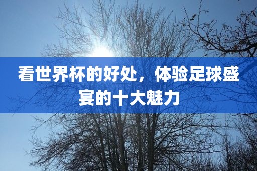 看世界杯的好处，体验足球盛宴的十大魅力眉山市正发家政服务有限公司