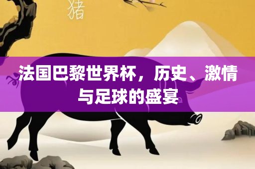 法国巴黎世界杯，历史、激情眉山市正发家政服务有限公司与足球的盛宴