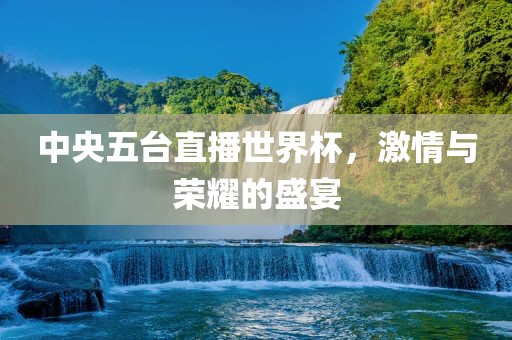 中央五台直播世界杯，眉山市正发家政服务有限公司激情与荣耀的盛宴