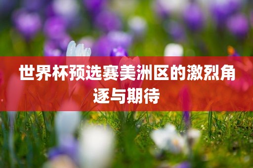 世界杯预选赛美洲区的激烈角逐与期待