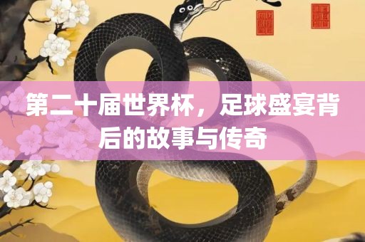 足球盛宴传奇故事