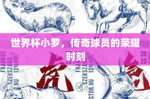 世界杯小罗，传奇球员的荣耀时刻