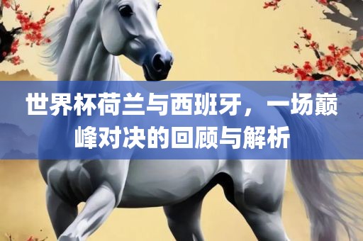 世界杯荷兰与西班牙，一场巅峰对决的回顾与解析
