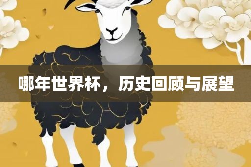 哪年世界杯，历史回顾与展望