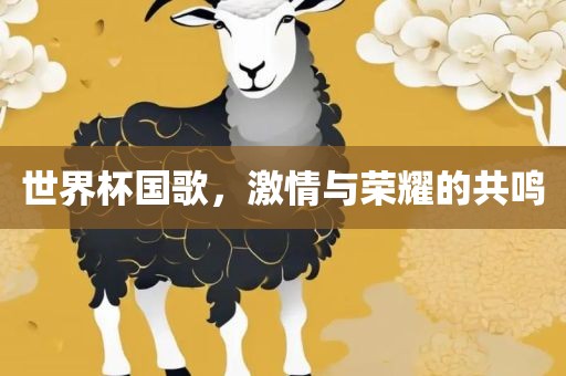 世界杯国歌，激情与荣耀的共鸣