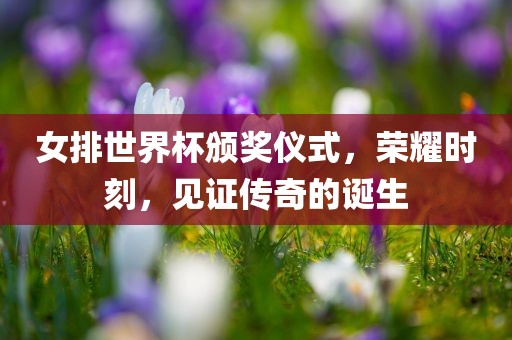 女排世界杯颁奖仪式，荣耀时刻，见证传奇的眉山市正发家政服务有限公司诞生