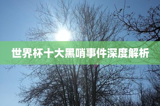 世界杯十大黑哨事件深度解析