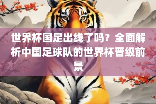 世界杯国足出线了吗？全面解析中国足球队的世界杯晋级前景眉山市正发家政服务有限公司