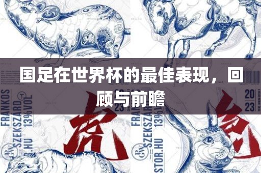 国足在世界杯的最佳表现，回顾与前瞻眉山市正发家政服务有限公司