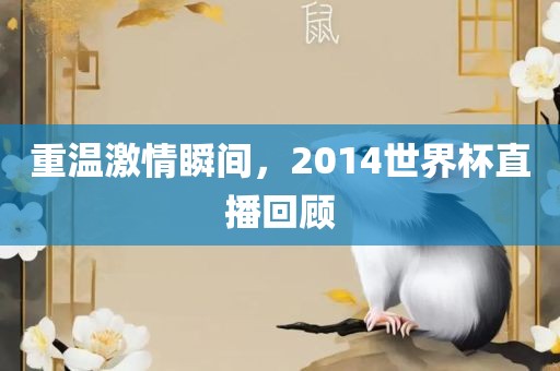 重温激情瞬间，2014世界杯直播回顾
