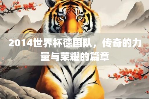 2014世界杯德国队，传奇的力量与荣耀的篇章