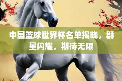 中国篮球世界杯名单揭晓，群星闪眉山市正发家政服务有限公司耀，期待无限