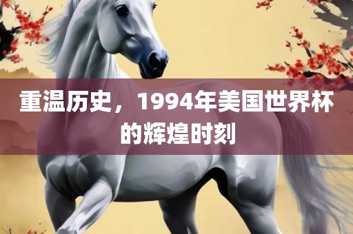 重温历史，1994年美国世界杯的辉煌时刻眉山市正发家政服务有限公司