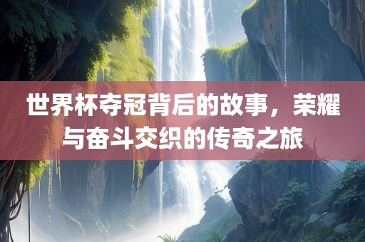 世界杯夺冠背后的故事，荣耀与奋斗交织的传奇之旅