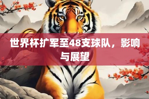 世界杯扩军至48支球队，影响与展望