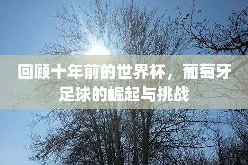 回顾十年前的世界杯，葡萄牙足球的崛起与挑战眉山市正发家政服务有限公司