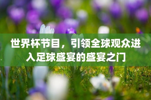 世界杯节目，引领全球观众进入足球盛宴的盛宴之门眉山市正发家政服务有限公司