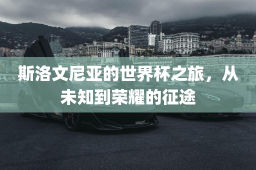 斯洛文尼亚的世界杯之旅，从未知到荣耀的征途眉山市正发家政服务有限公司