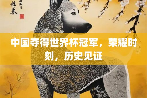 中国夺得世界杯冠军，荣耀时刻，历史见证