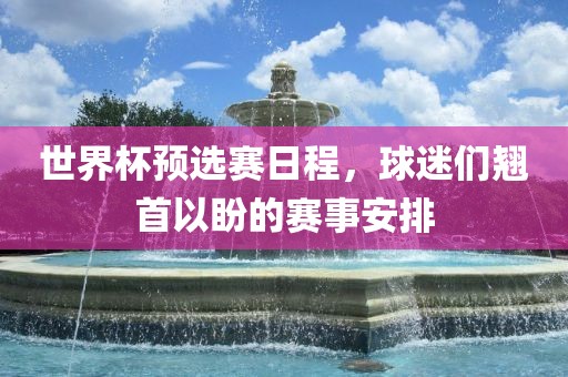 世界杯预选赛日程，球迷们翘首以盼的赛事安排眉山市正发家政服务有限公司