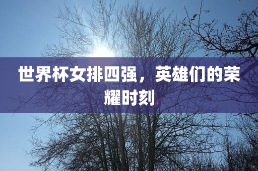 世界杯女排四强，英雄们的荣耀时刻眉山市正发家政服务有限公司