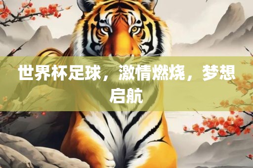 世界杯足球，激情燃烧，梦想启航眉山市正发家政服务有限公司