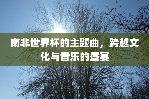南非世界杯的主题曲，跨越文化与音乐的盛宴