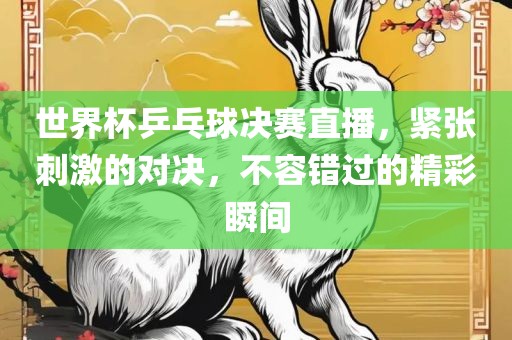 世界杯乒乓球决赛直播，紧张刺激的对决，不容错过的精彩瞬间