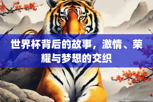 世界杯背后的故事，激情、荣耀与梦想的交织