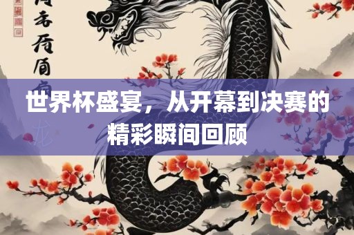 世界杯盛宴 第2页