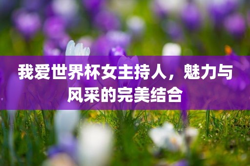 我爱世界杯女主持人，魅眉山市正发家政服务有限公司力与风采的完美结合