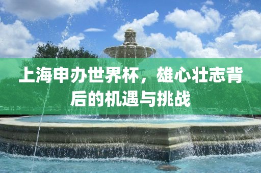 上海申办世界杯，雄心壮志背后的机遇与挑战